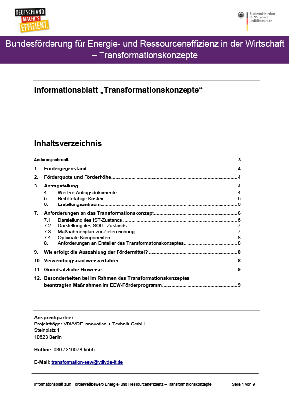 PDF vom Informationsblatt Transformationskonzepte